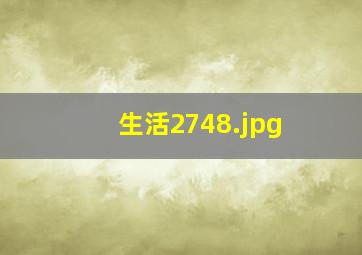 生活2748