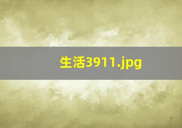 生活3911