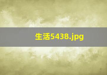 生活5438