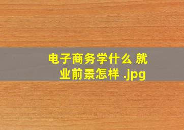 电子商务学什么 就业前景怎样 