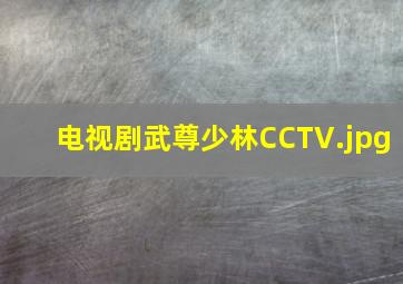 电视剧武尊少林CCTV
