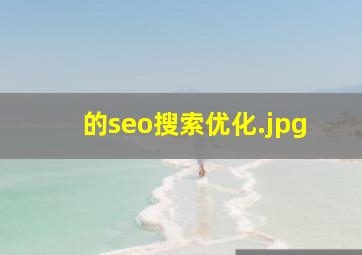 的seo搜索优化