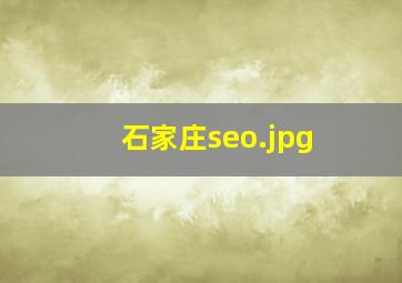 石家庄seo
