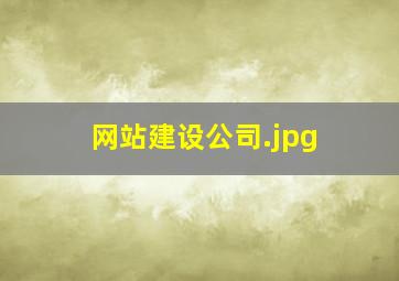 网站建设公司
