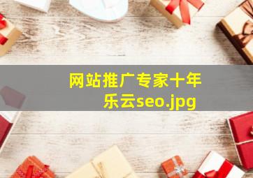 网站推广专家十年乐云seo