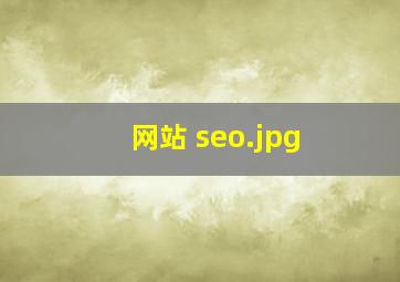 网站 seo