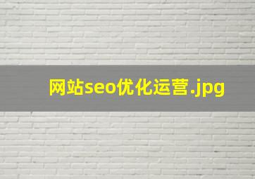 网站seo优化运营