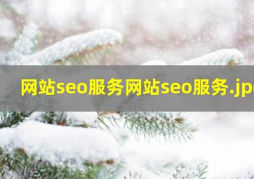 网站seo服务网站seo服务