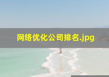 网络优化公司排名