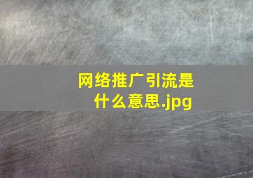 网络推广引流是什么意思
