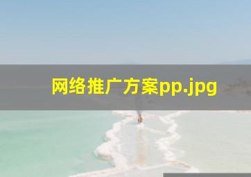 网络推广方案pp