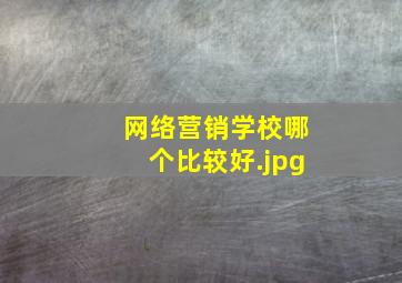 网络营销学校哪个比较好
