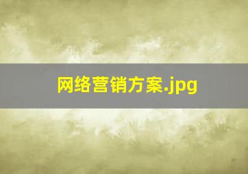 网络营销方案