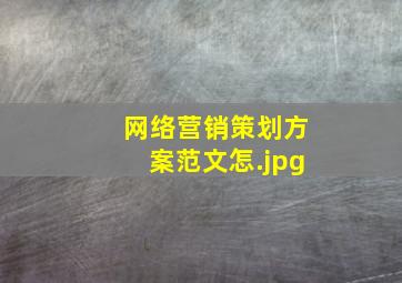 网络营销策划方案范文怎