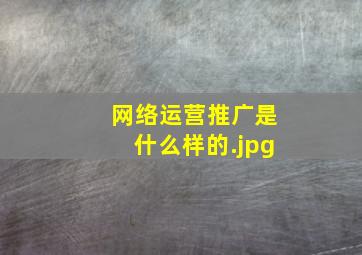 网络运营推广是什么样的