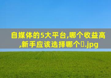 自媒体的5大平台,哪个收益高,新手应该选择哪个�