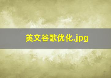 英文谷歌优化