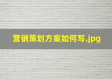 营销策划方案如何写