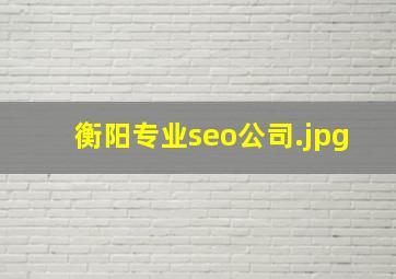 衡阳专业seo公司