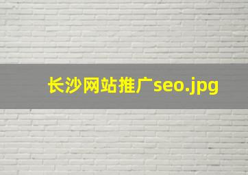 长沙网站推广seo