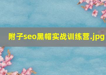 附子seo黑帽实战训练营