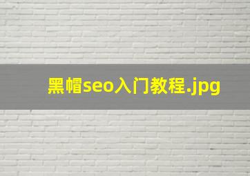 黑帽seo入门教程