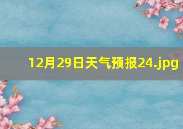 12月29日天气预报24