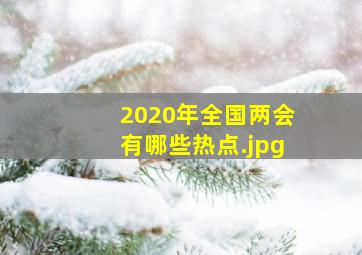 2020年全国两会有哪些热点