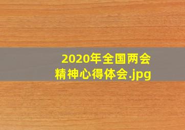 2020年全国两会精神心得体会