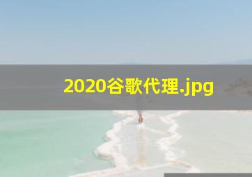 2020谷歌代理