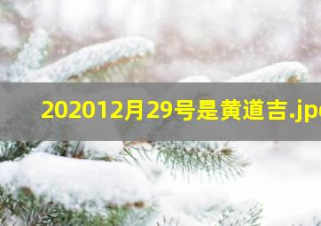 202012月29号是黄道吉