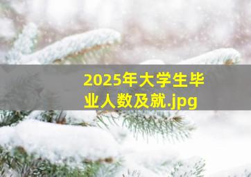 2025年大学生毕业人数及就