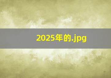 2025年的