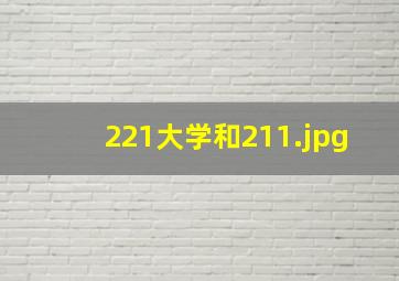 221大学和211