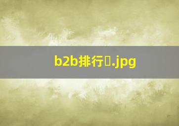 b2b排行�