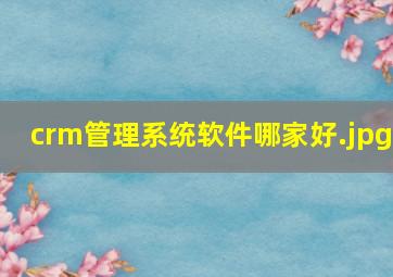 crm管理系统软件哪家好