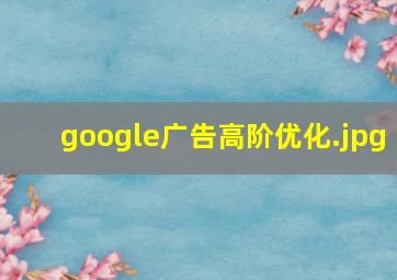 google广告高阶优化