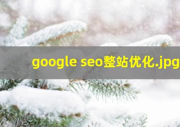 google seo整站优化