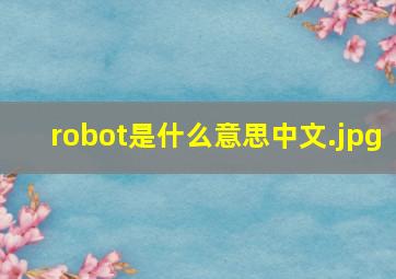 robot是什么意思中文