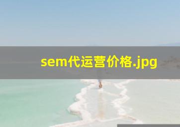 sem代运营价格