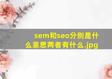 sem和seo分别是什么意思两者有什么