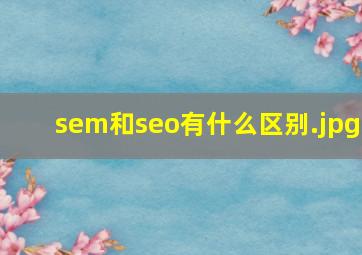 sem和seo有什么区别