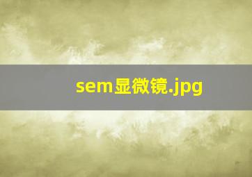 sem显微镜