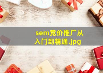 sem竞价推广从入门到精通