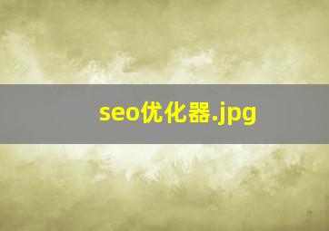 seo优化器