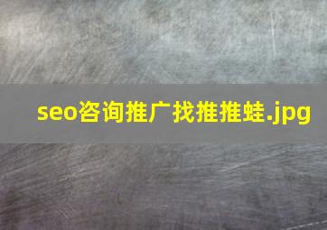 seo咨询推广找推推蛙