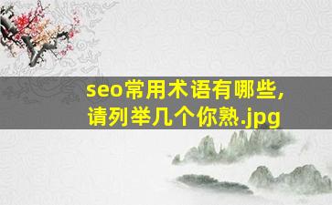 seo常用术语有哪些,请列举几个你熟