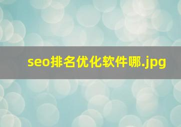 seo排名优化软件哪