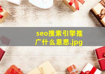 seo搜索引擎推广什么意思