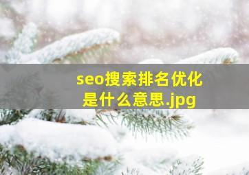 seo搜索排名优化是什么意思